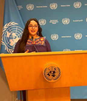 Ms. Meylan Ramos (author) from the press room at UN Headquarters