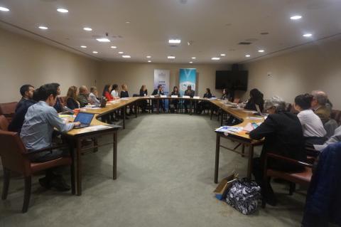Youth and experts discuss disarmement