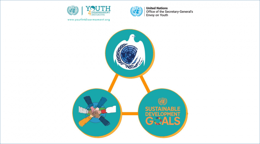 How Disarmament And Arms Control Contribute To Sustainable Development